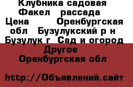 Клубника садовая “Факел“ (рассада) › Цена ­ 50 - Оренбургская обл., Бузулукский р-н, Бузулук г. Сад и огород » Другое   . Оренбургская обл.